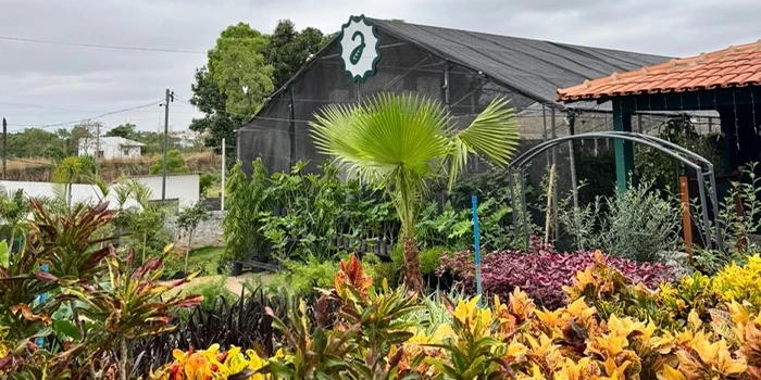 O Garden Market (Viveiro)